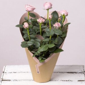 Pink Rose Plant In Heart Shaped Cover